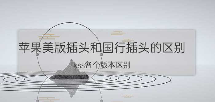 苹果美版插头和国行插头的区别 xss各个版本区别？